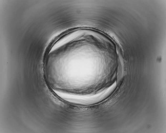 X0000089961072200707201943