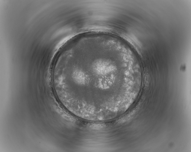 X0000089961074200707201943