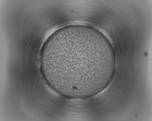 X0000089961075200707201943