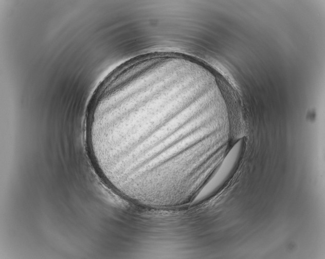 X0000089961076200707201943