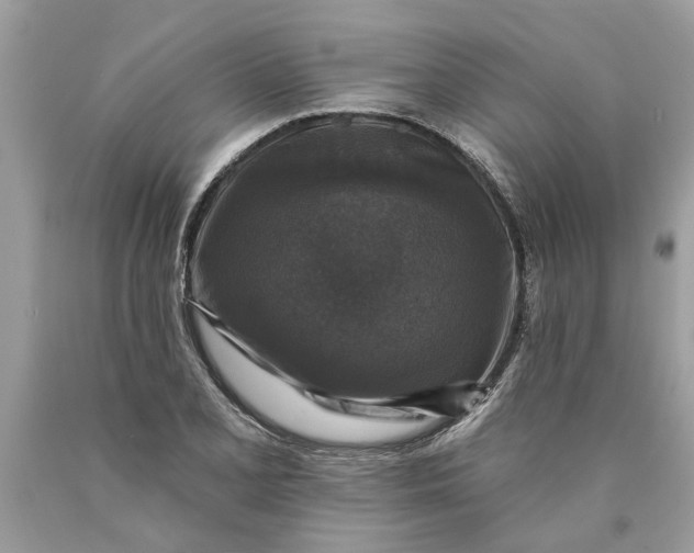 X0000089961077200707201943