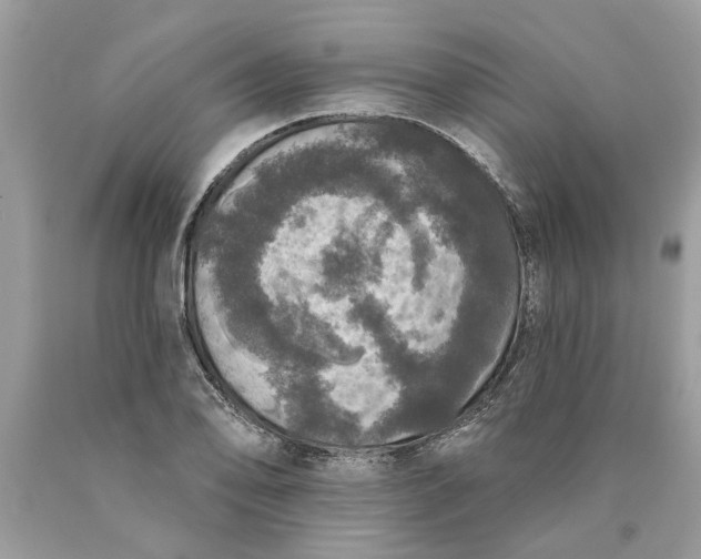 X0000089961078200707201943