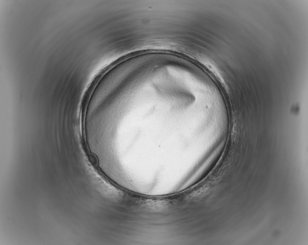 X0000089961080200707201943