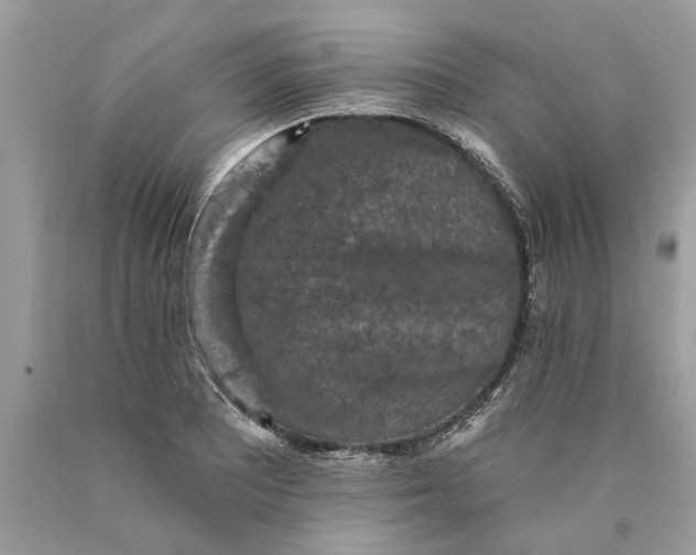 X0000089961081200707201943