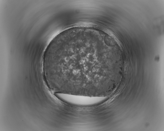 X0000089961083200707201943