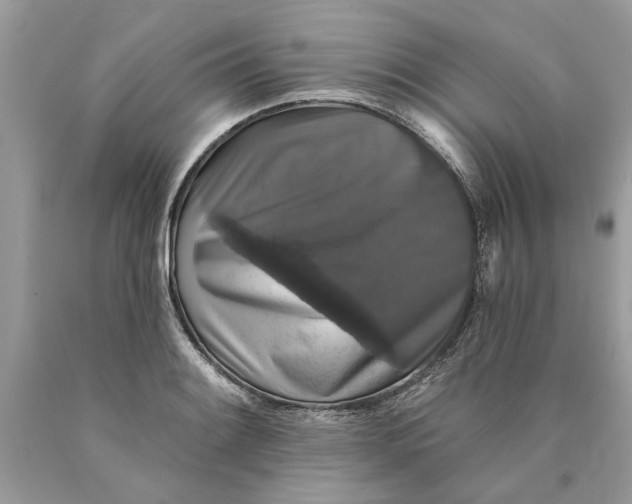 X0000089961084200707201943