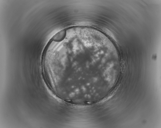 X0000089961087200707201943