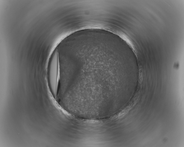 X0000089961088200707201943