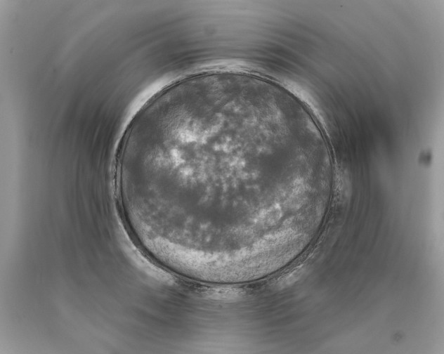 X0000089961090200707201943