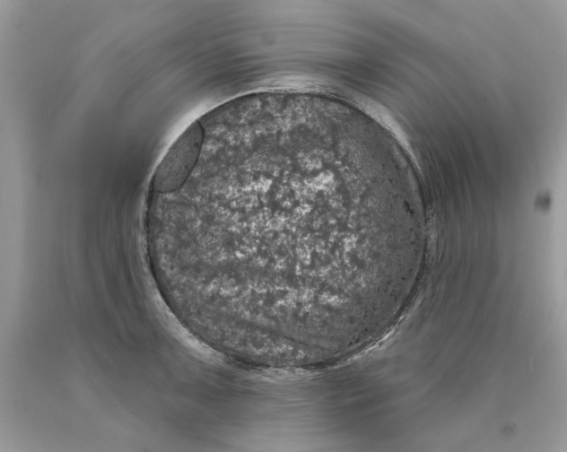 X0000089961091200707201943