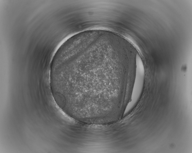 X0000089961092200707201943