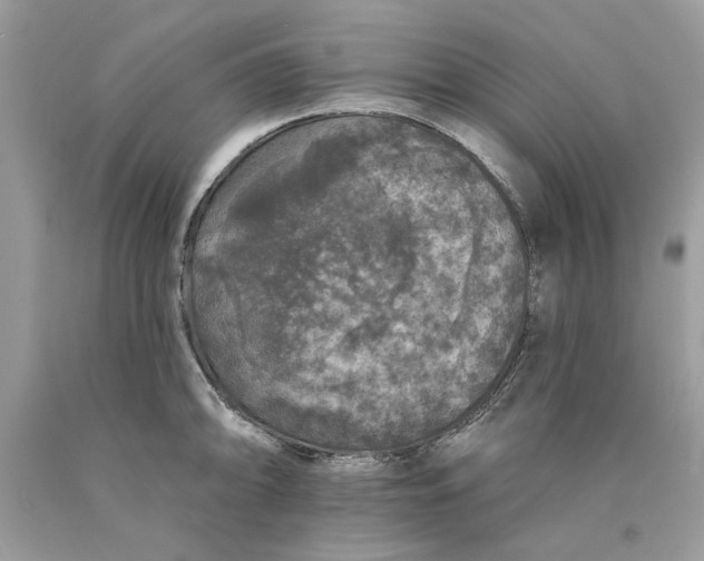 X0000089961094200707201943