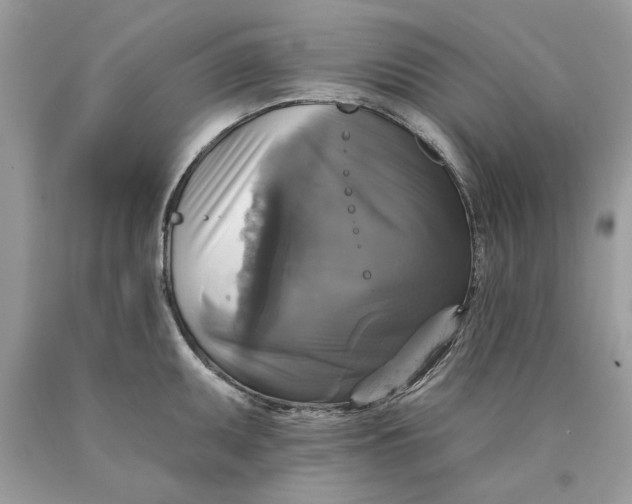 X0000089961095200707201943