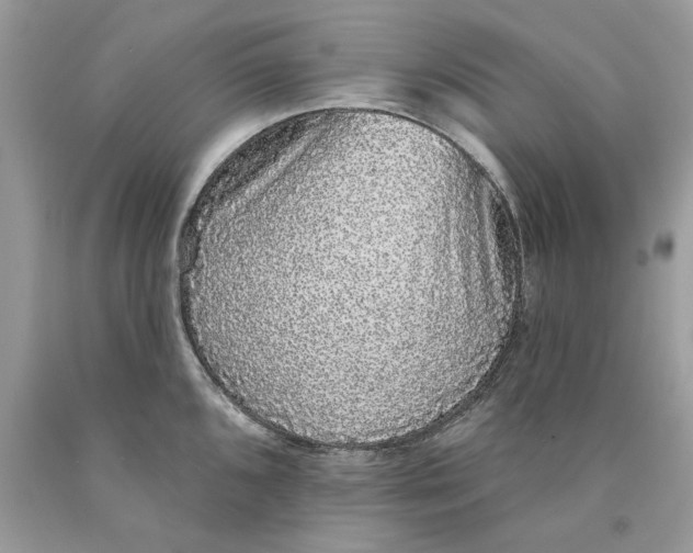 X0000089961096200707201943