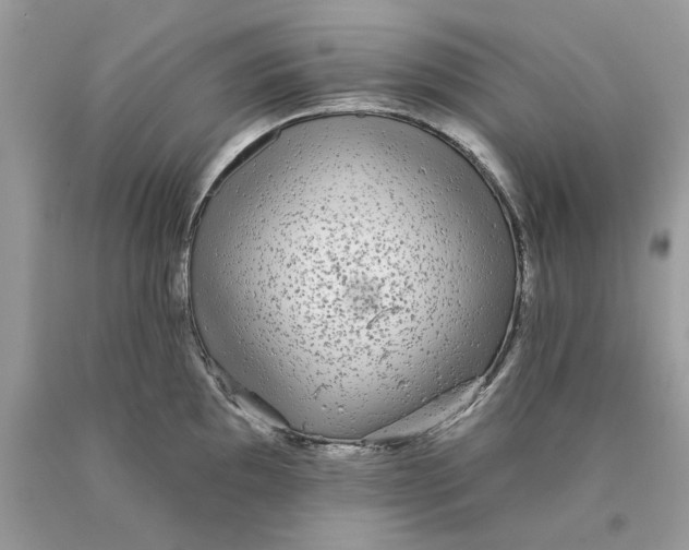 X0000089961097200707201943