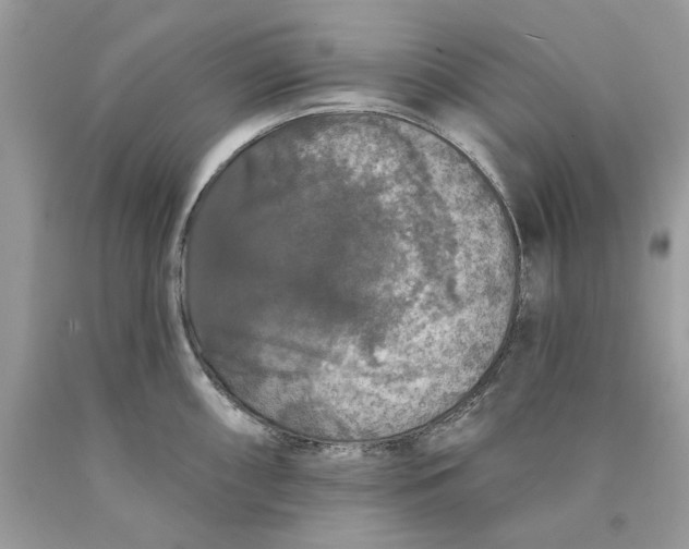 X0000089961098200707201943