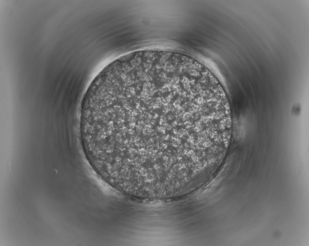 X0000089961099200707201943