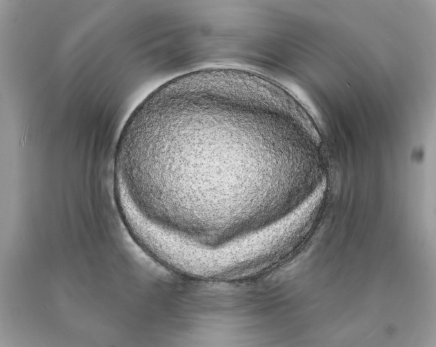 X0000089961100200707201943