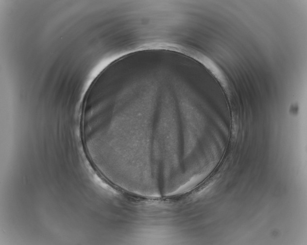 X0000089961102200707201943