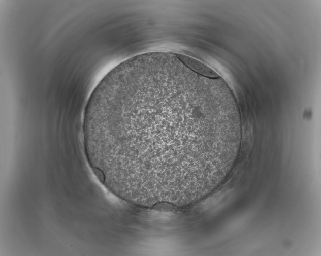 X0000089961103200707201943