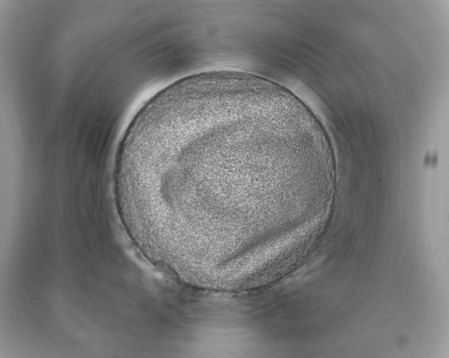 X0000089961104200707201943