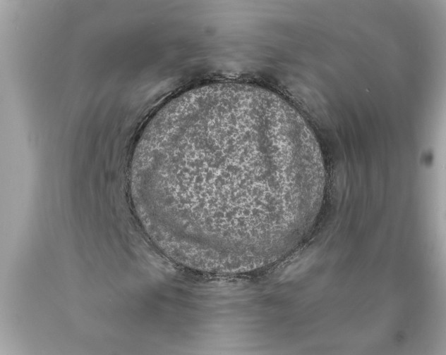 X0000089961105200707201942