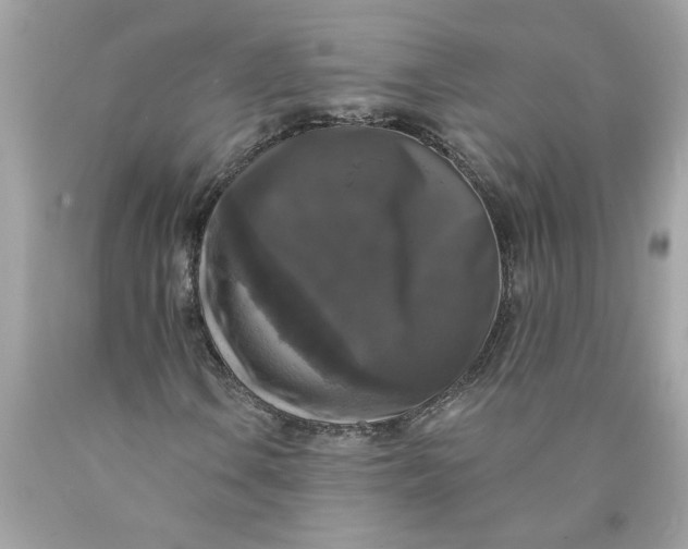 X0000089961106200707201942