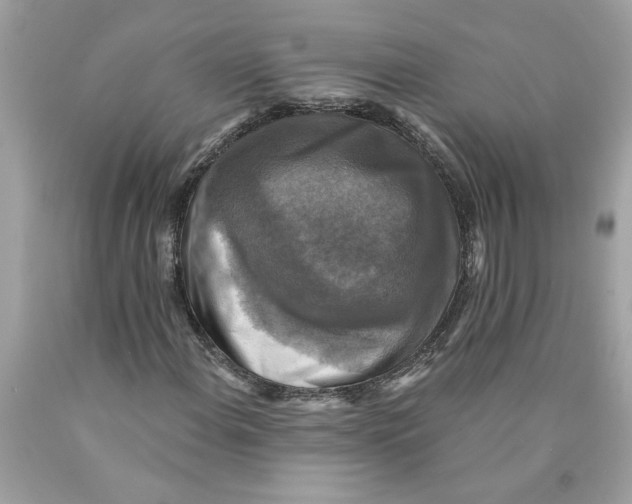 X0000089961108200707201942