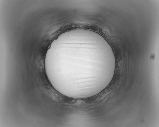 X0000089961109200707201942