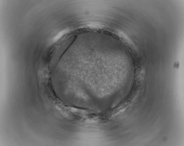 X0000089961110200707201942