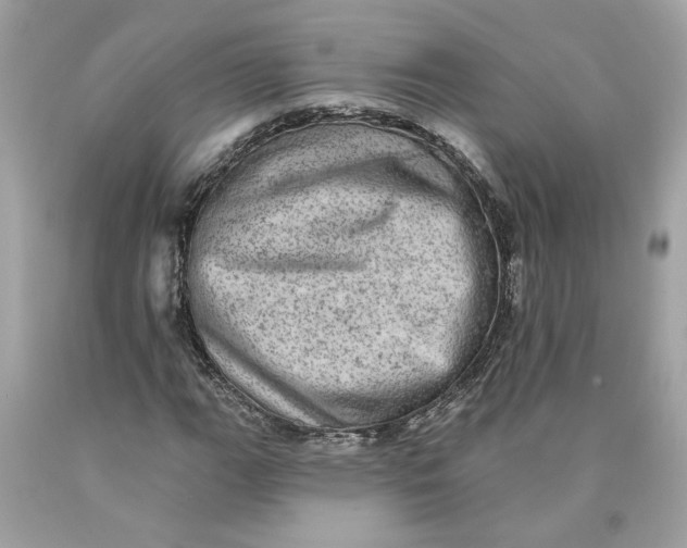 X0000089961111200707201942