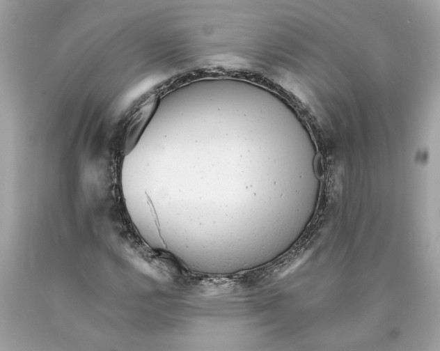 X0000089961112200707201942