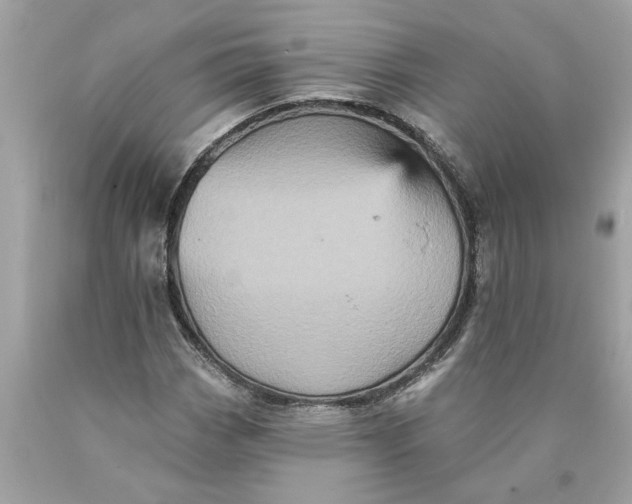 X0000089961113200707201942