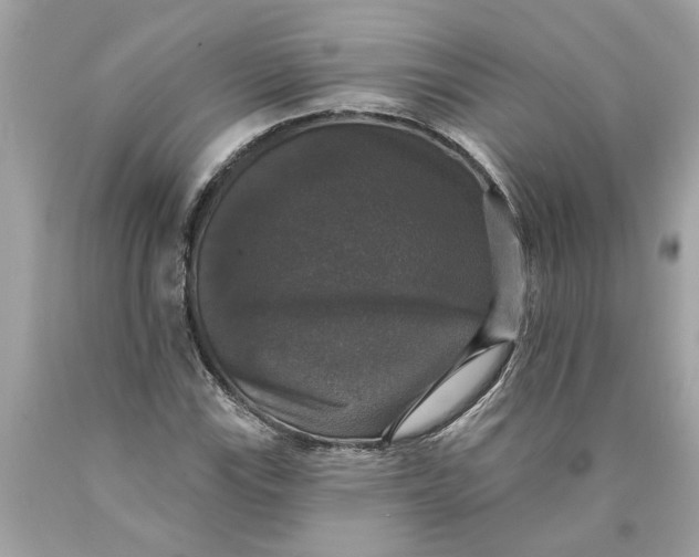 X0000089961115200707201942