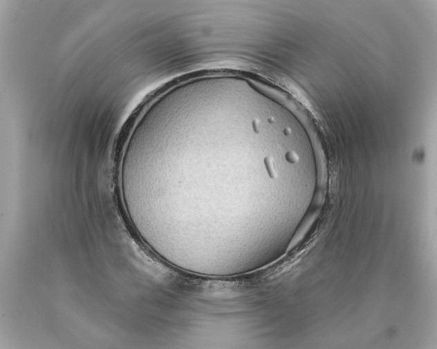 X0000089961116200707201942