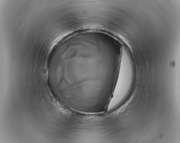 X0000089961117200707201942