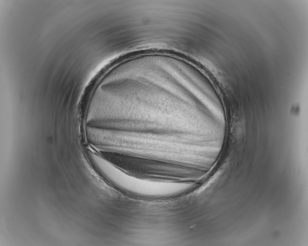 X0000089961118200707201942