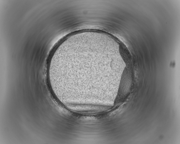 X0000089961119200707201942