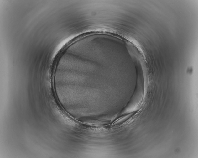 X0000089961120200707201942