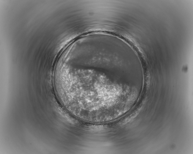 X0000089961121200707201942