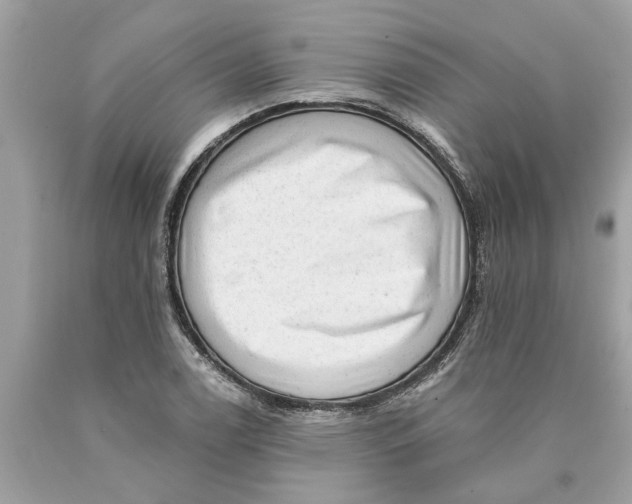 X0000089961122200707201942