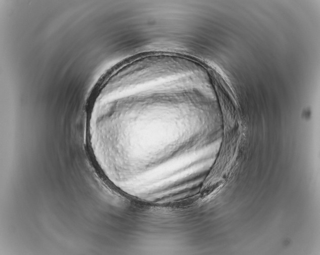 X0000089961123200707201942