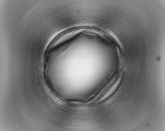 X0000089961124200707201942