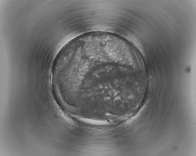 X0000089961125200707201942