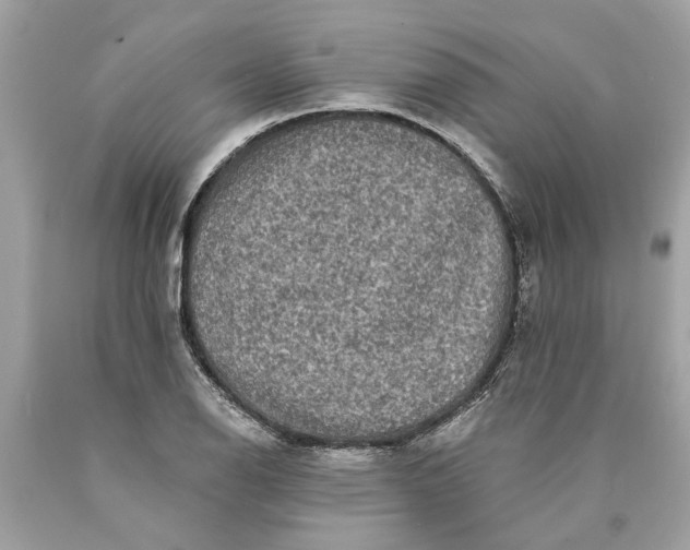 X0000089961126200707201942