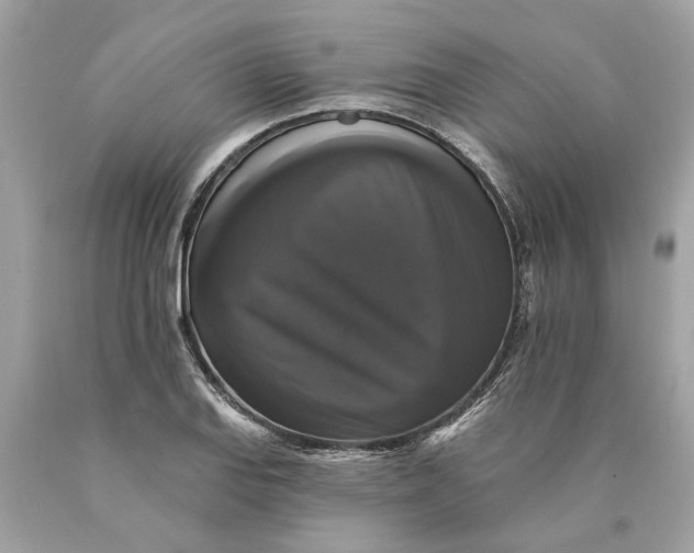 X0000089961127200707201942