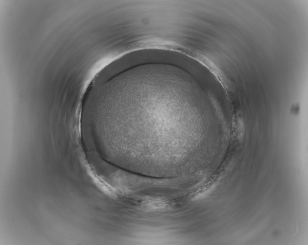 X0000089961128200707201942