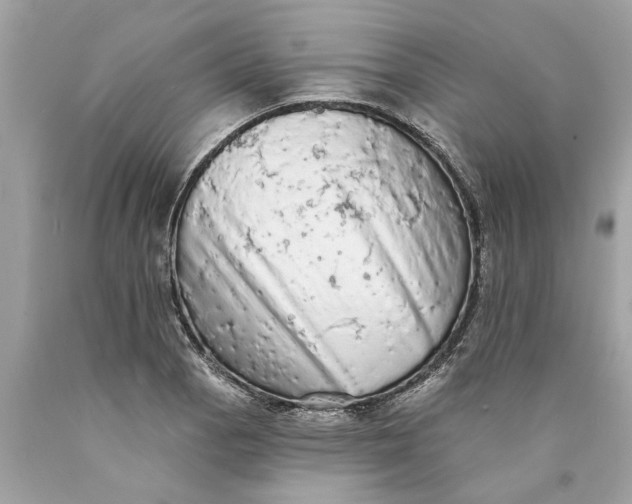 X0000089961129200707201942