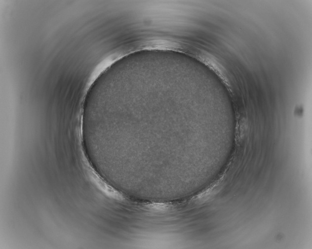 X0000089961130200707201942