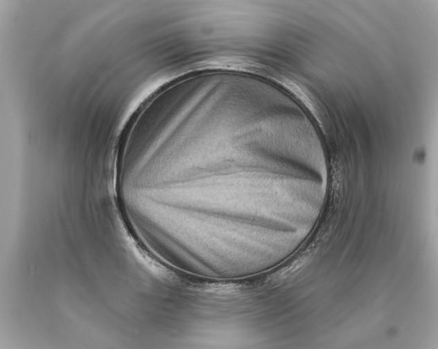 X0000089961131200707201942